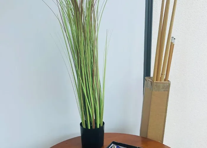 Borne Arcade, Billard, Flechettes & Sauna 6pers 別荘 *