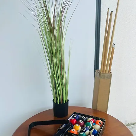 Borne Arcade, Billard, Flechettes & Sauna 6pers 別荘 *